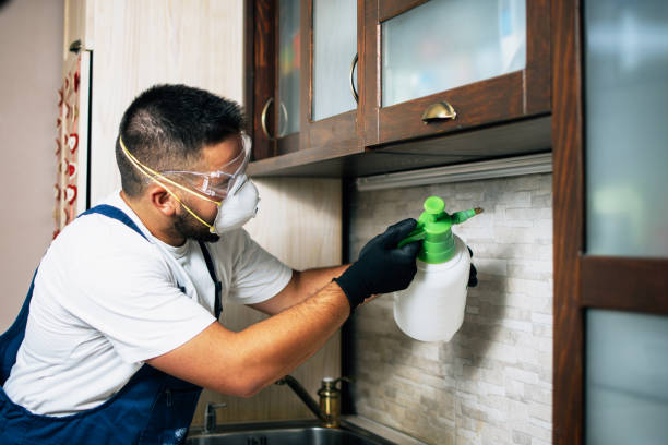 Best Best Pest Control Companies  in Baraga, MI