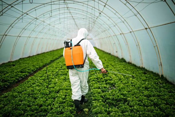 Best Pest Removal Services  in Baraga, MI