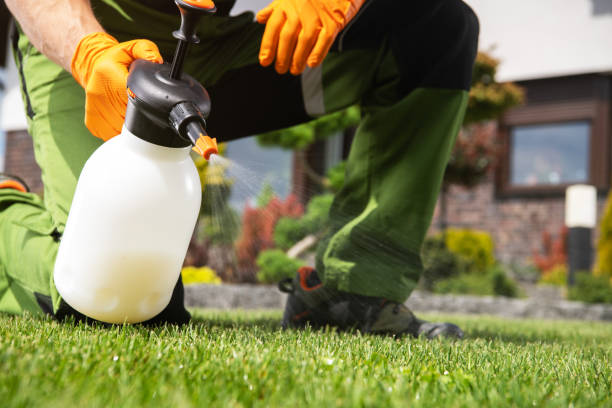 Wasp Removal Services in Baraga, MI