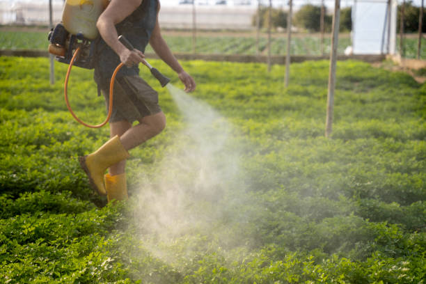 Best Ant Control Services  in Baraga, MI